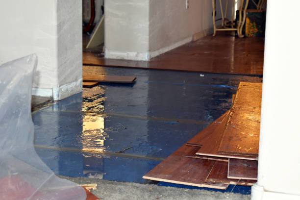 Professional Flood Damage Restoration technician working in Courtenay, ND